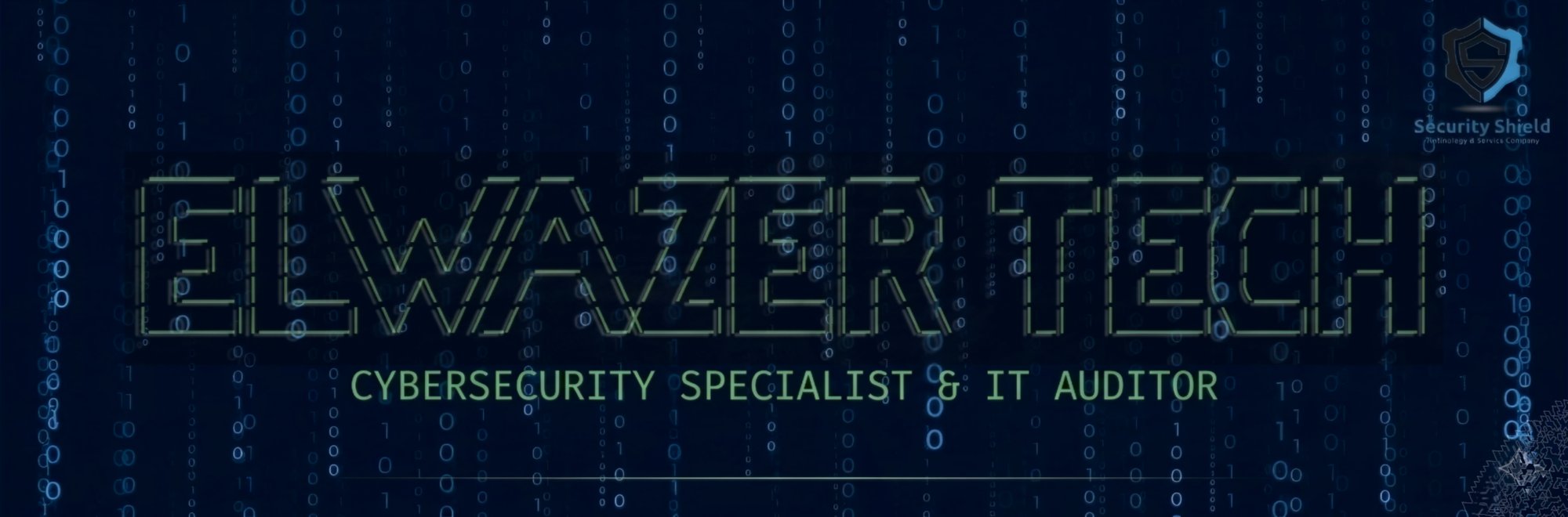 I will run a professional WordPress security scan and vulnerability assessment